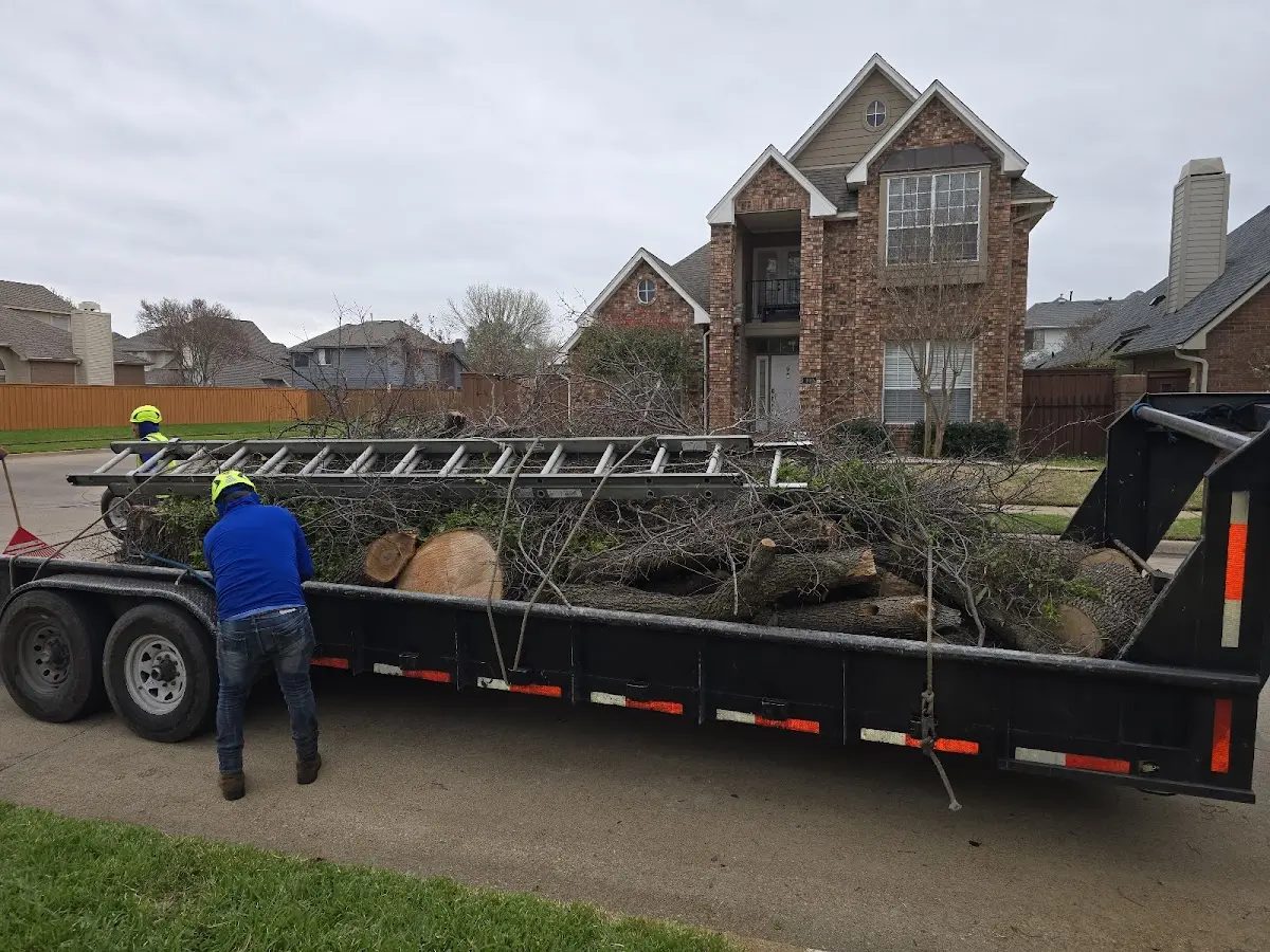 Expert Tree Pest Control with proper safety equipment in Leetonia